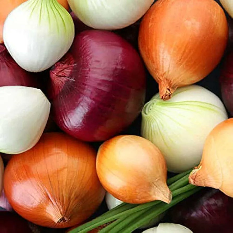 Jason Lavigne tweet media