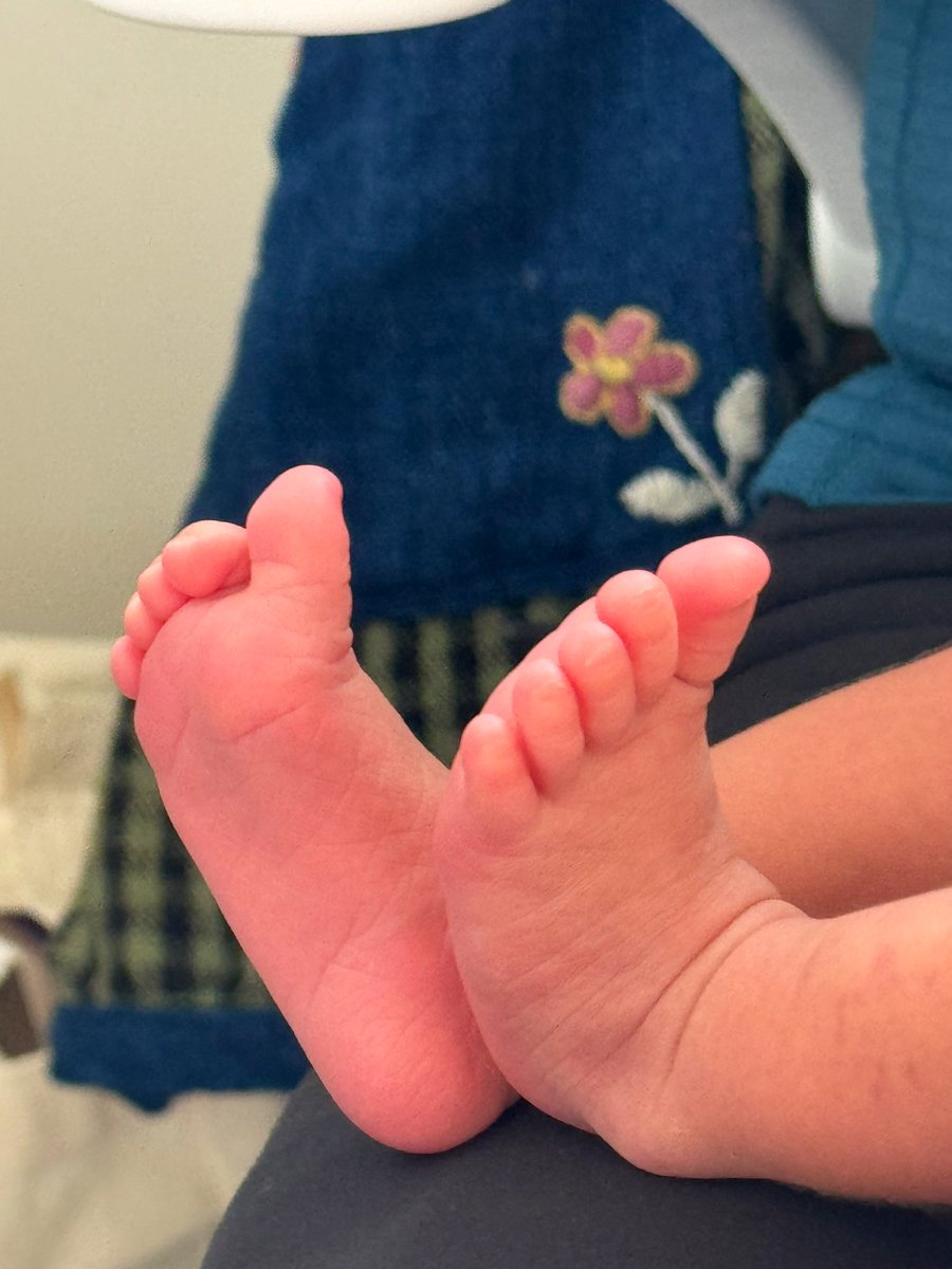 Jocaccia tweet media