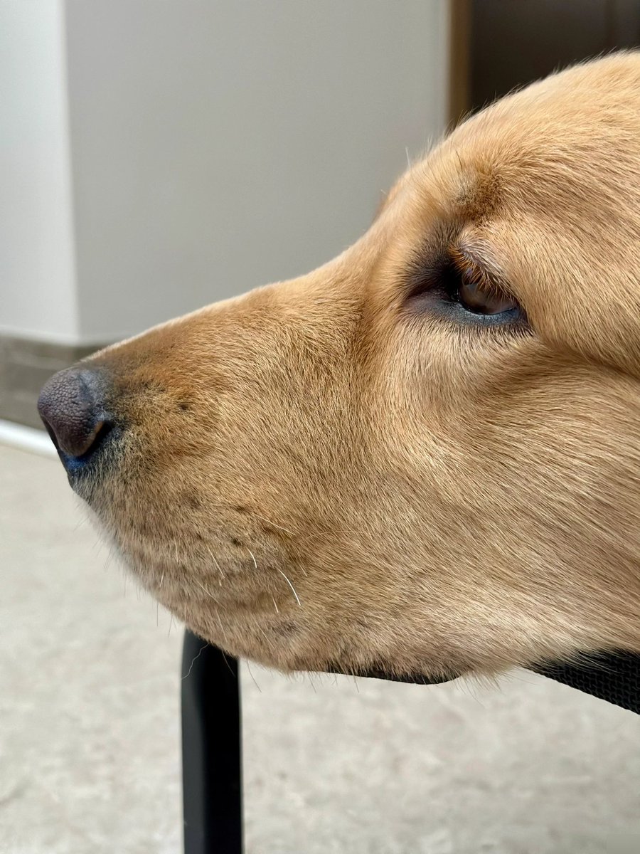 Fit Collective tweet media