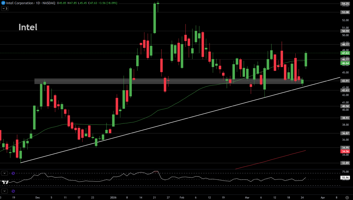 Diamond Options💎 tweet media