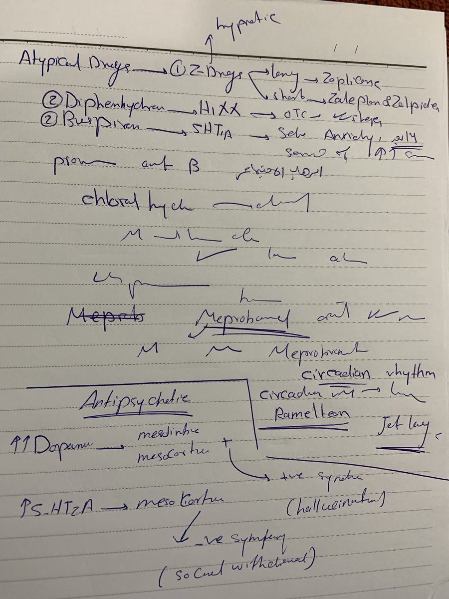 salma🦋 tweet media