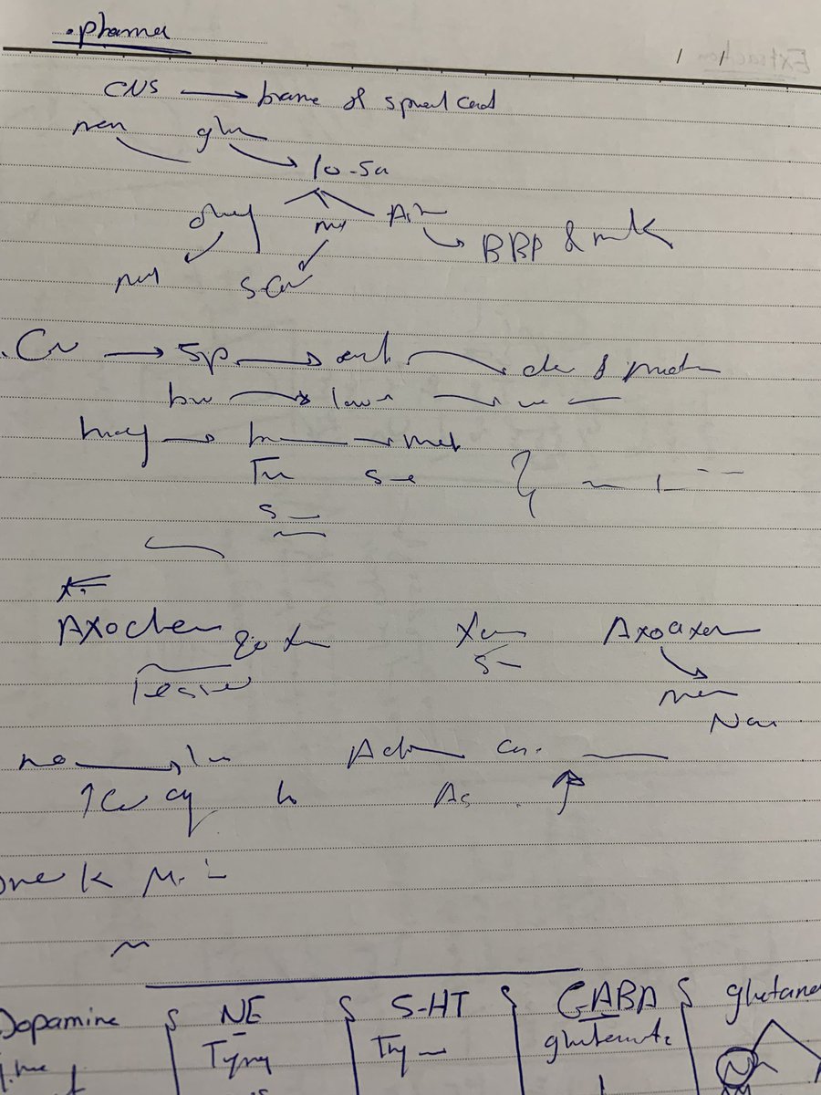 salma🦋 tweet media