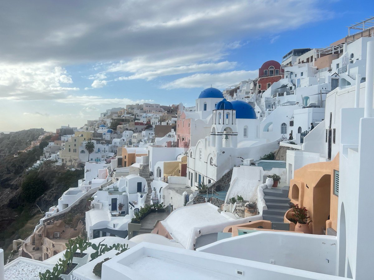 tom mccartney tweet media