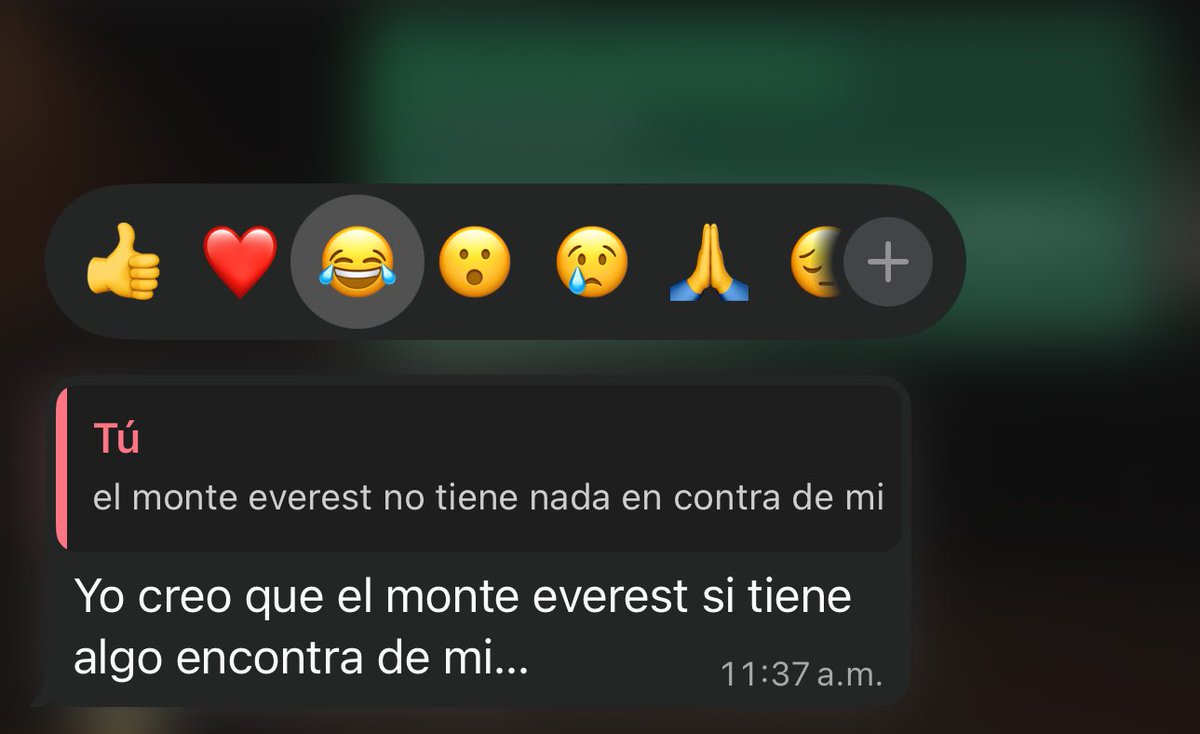 Ariadne Bernal tweet media