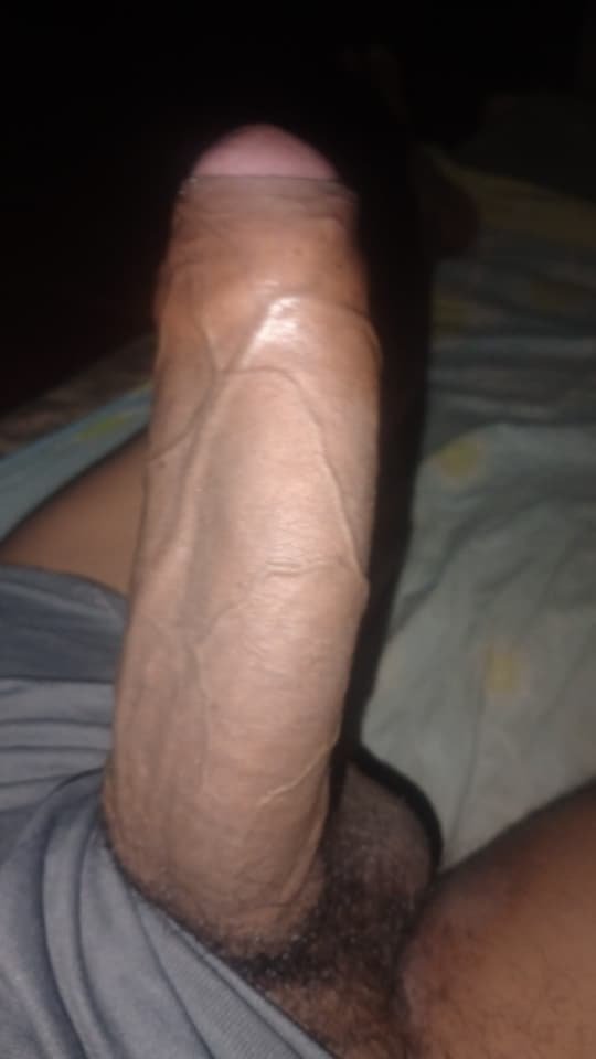 Solo machos tweet media