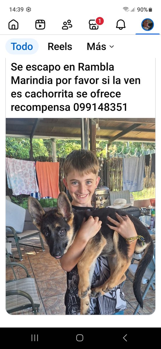 Fabian Casalla Lepro tweet media