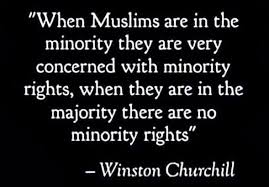 Ray Schwartz tweet media