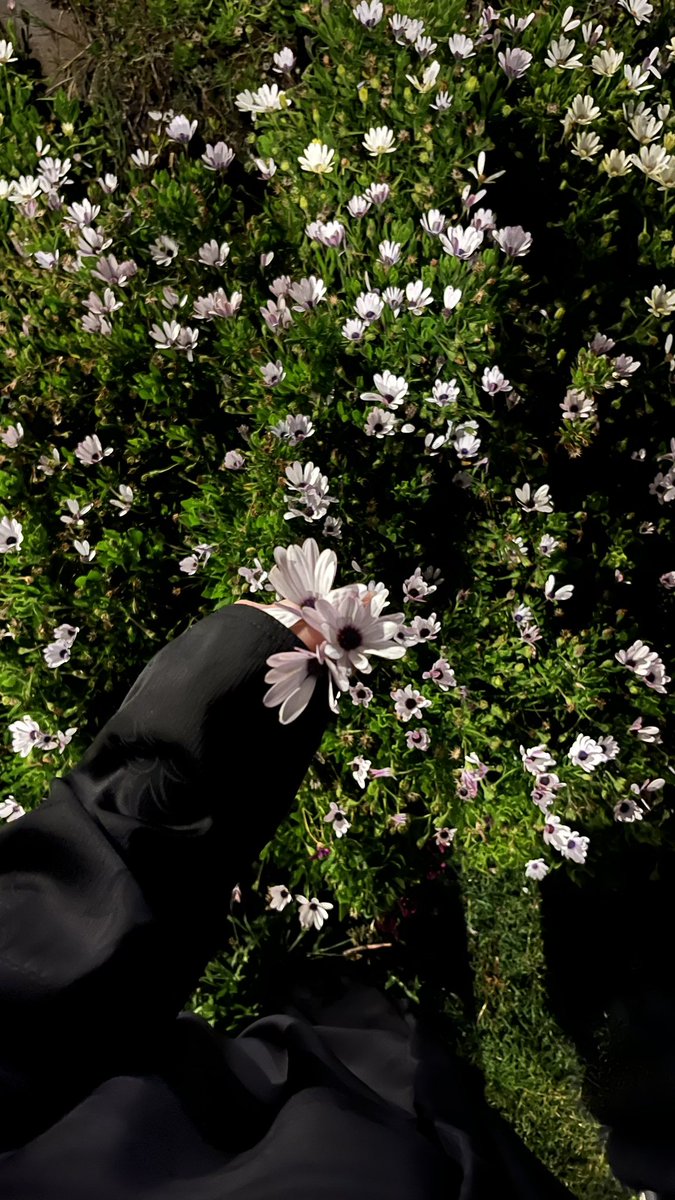 جـوجـو tweet media