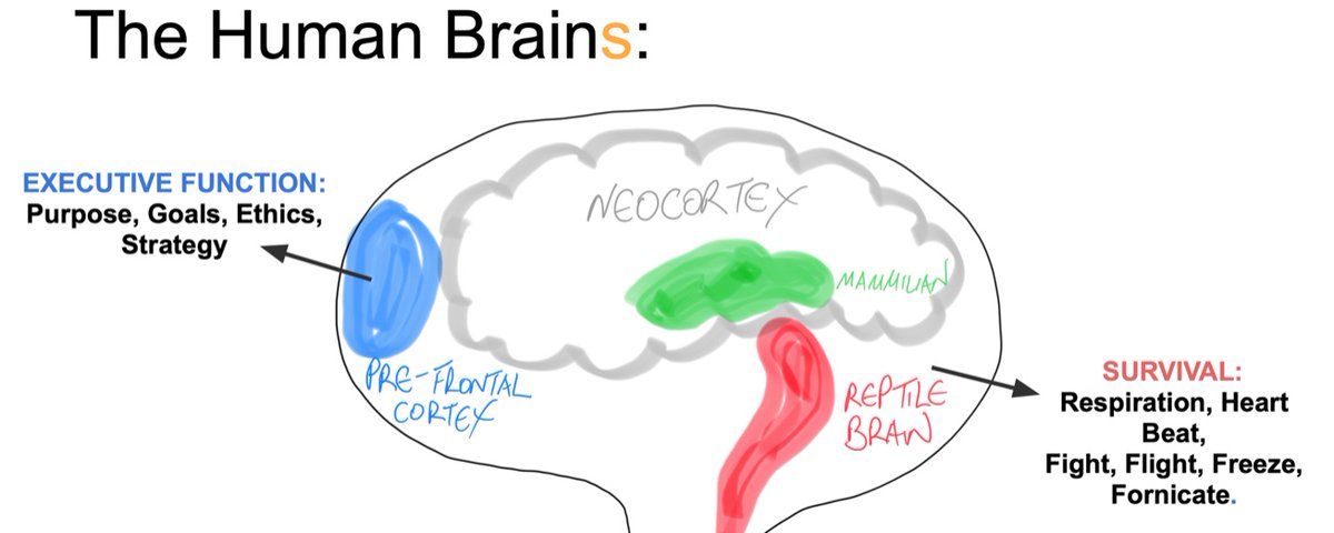 The Anatomy of Fear: Work With It, Not Against It