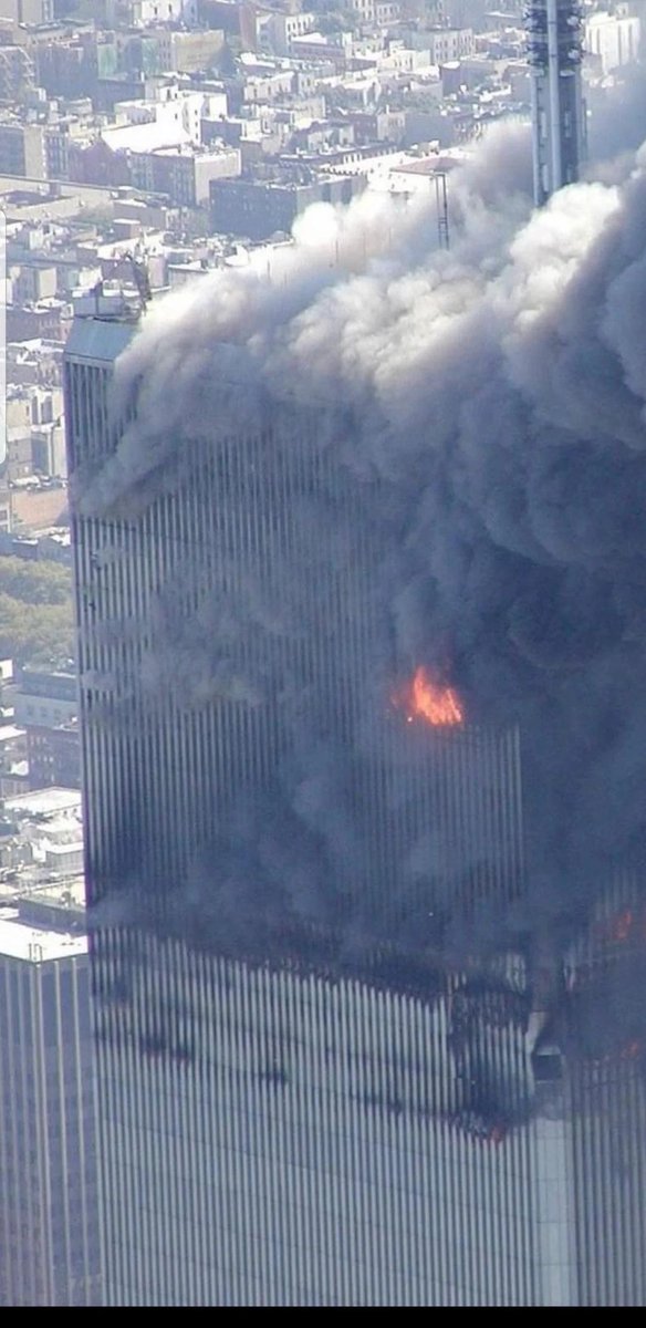 The Last Cypherpunk 🏴‍☠️🇵🇱🇺🇲 tweet media