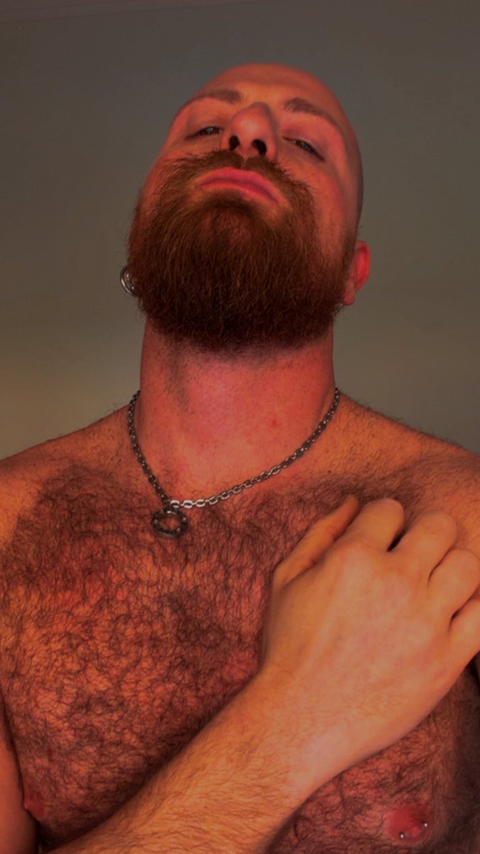 Wolf.K🐺🏳️🌈🎶🛫🌅🍽🥃 tweet media