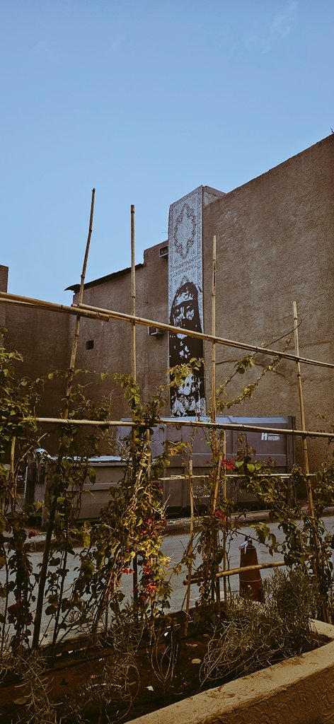 فاطمه tweet media