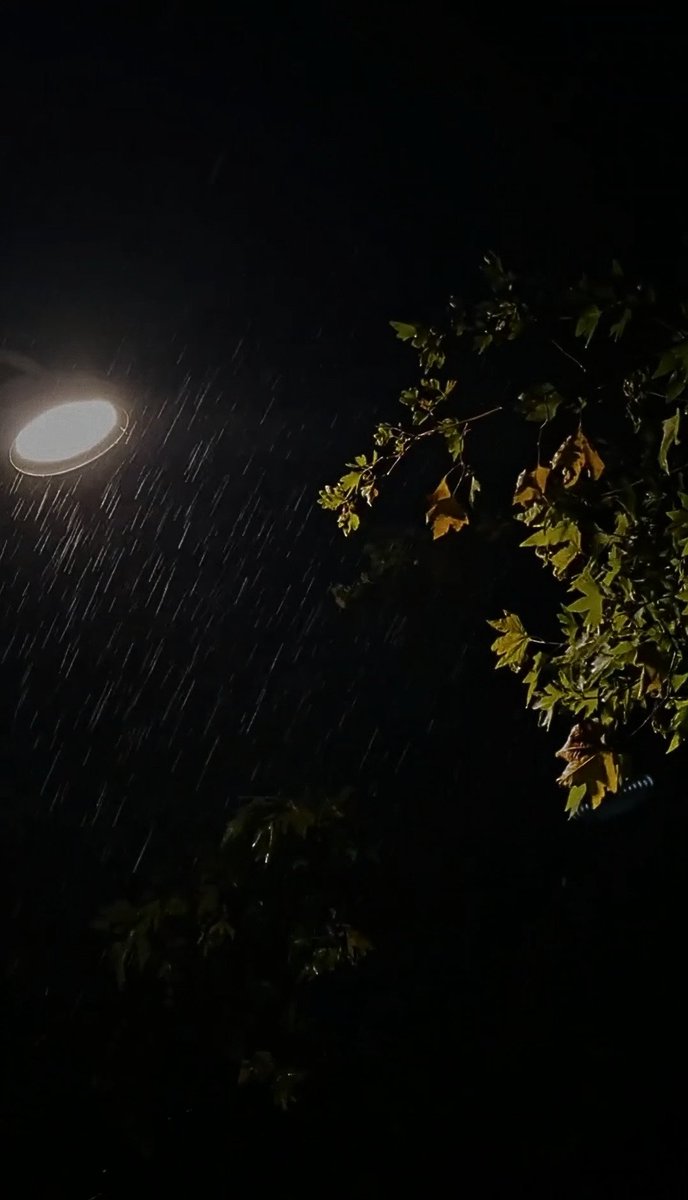 زهـــــــرة🌸. tweet media