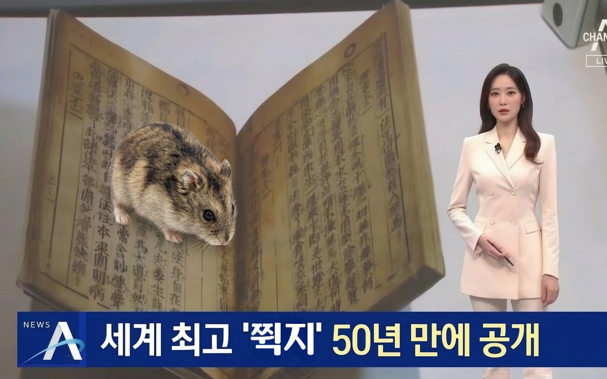 김끼뺫 tweet media