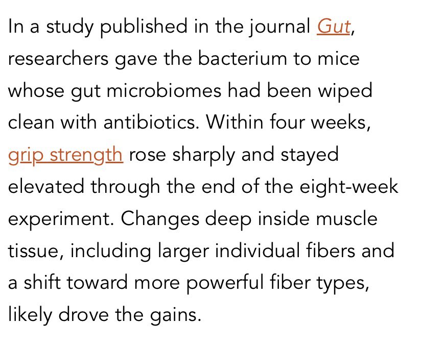 RAW EGG NATIONALIST tweet media