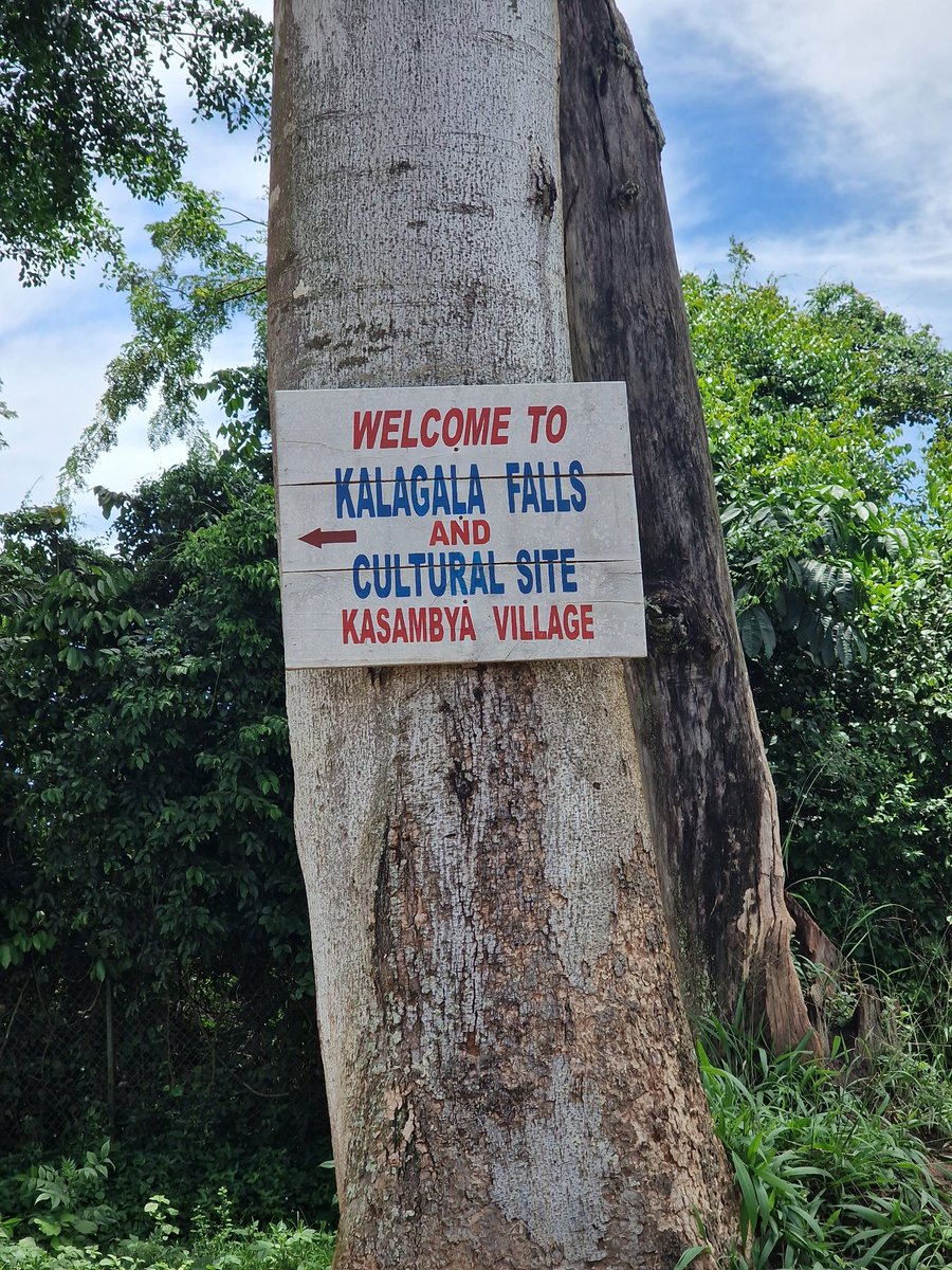 Tinah Trails Safaris tweet media