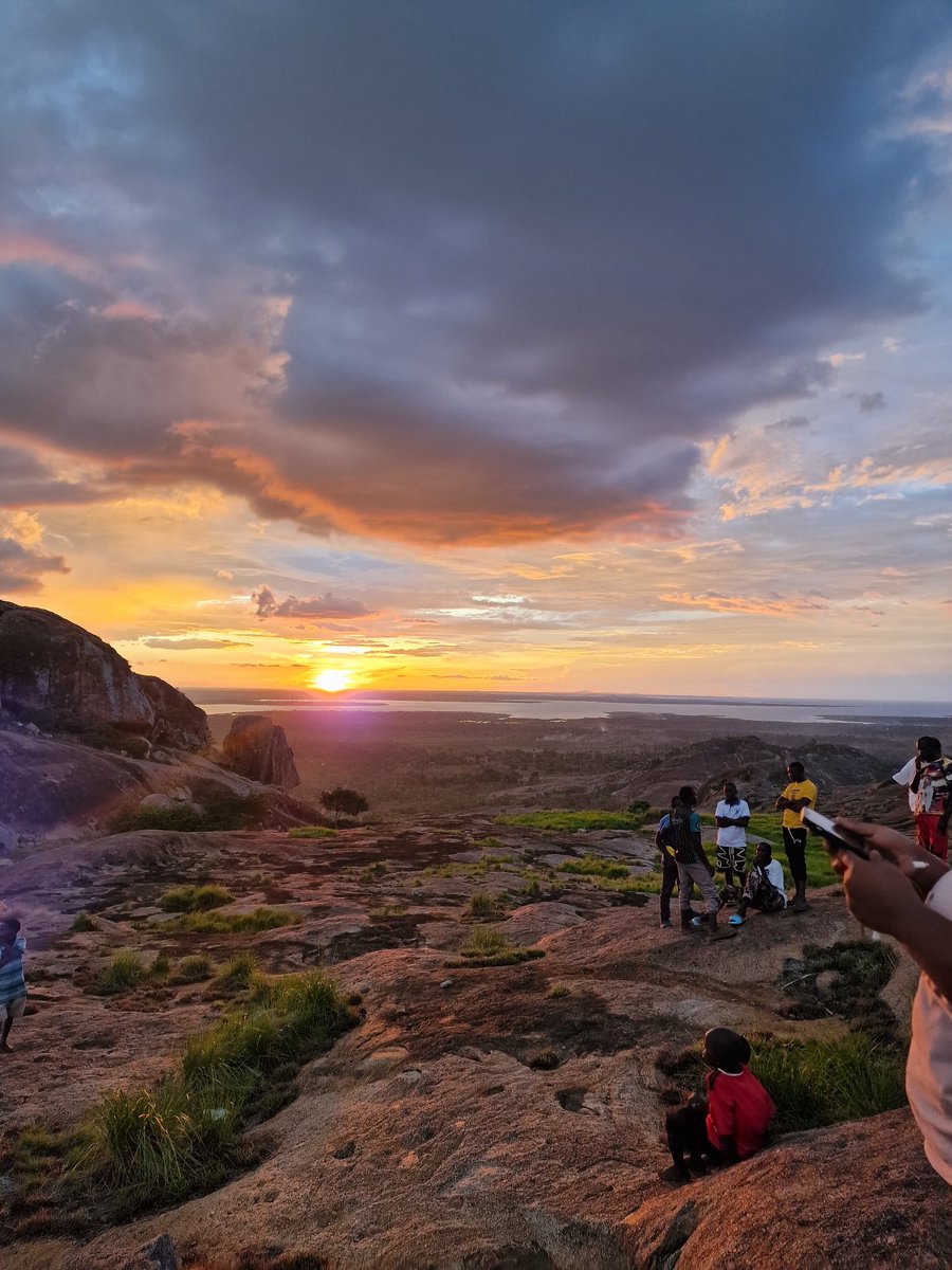 Tinah Trails Safaris tweet media