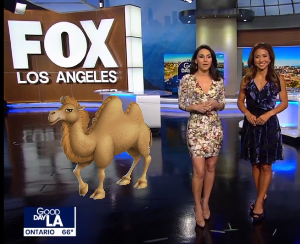 watchertv2000 tweet media