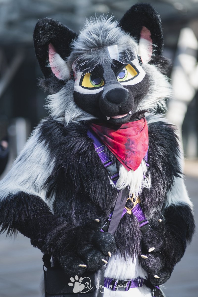 Vi wolfy (@viclucario1) / Posts / X