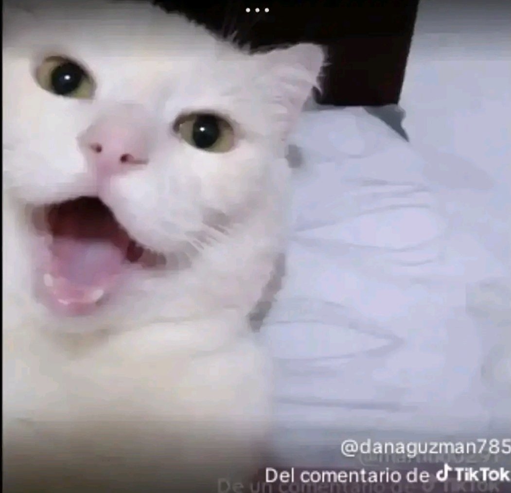 RickyDemon1 tweet media