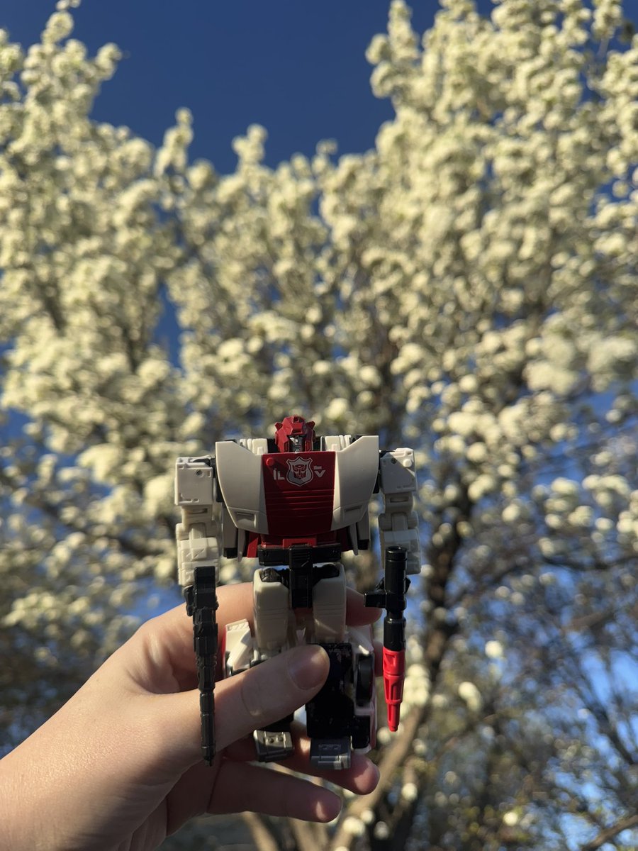 Dawn 🍀✨ tweet media