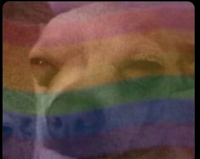 Idris🦋🇺🇬 tweet media