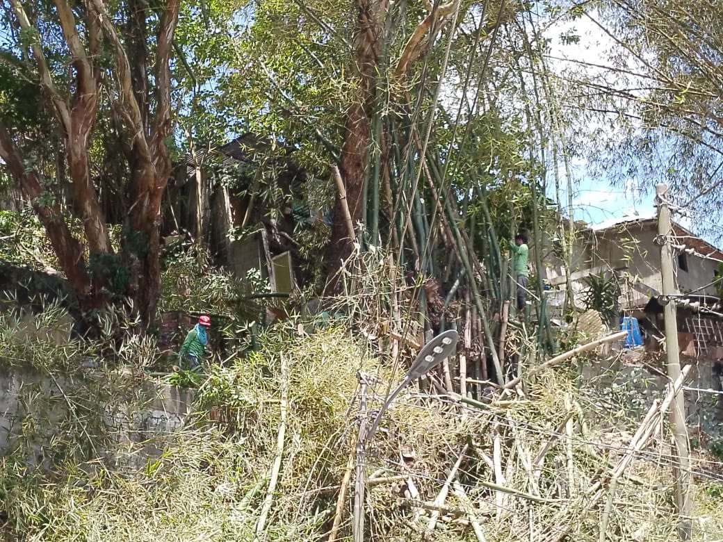 ServiciosElHatillo tweet media