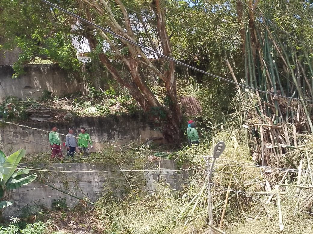 ServiciosElHatillo tweet media