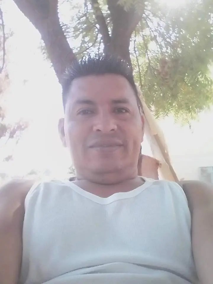 Solo machos tweet media