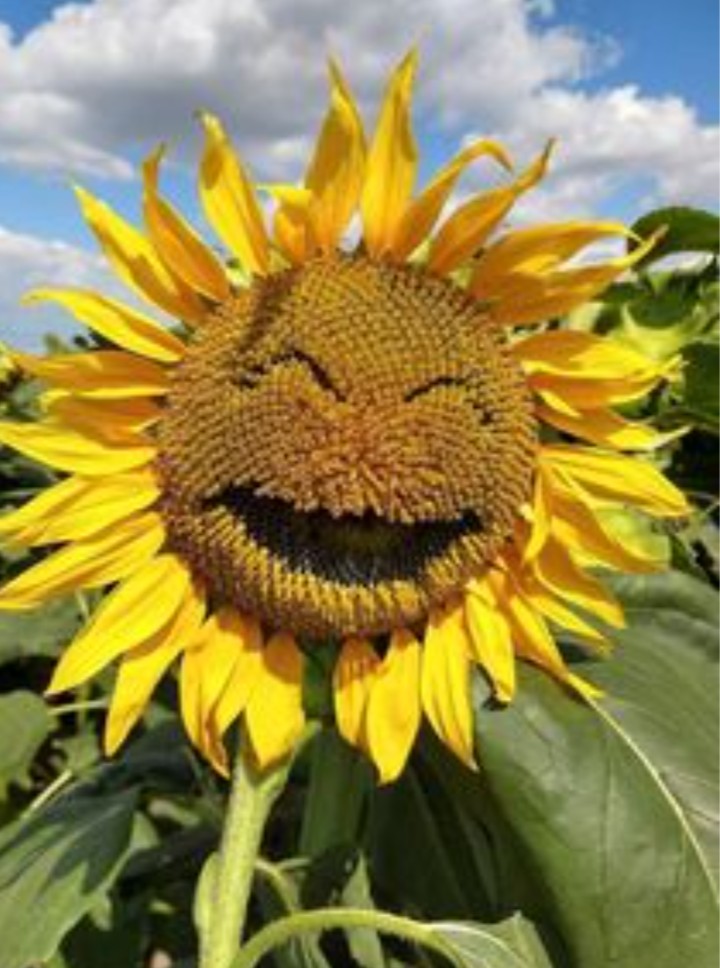 Dusty Bumps tweet media