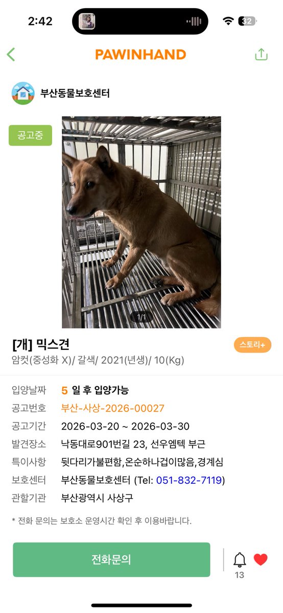 부산동물보호센터 봉사자😎 tweet media