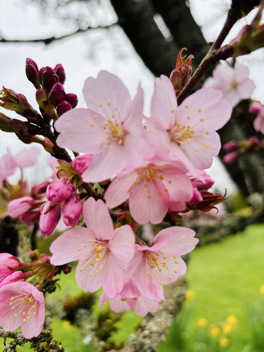 pat havers tweet media