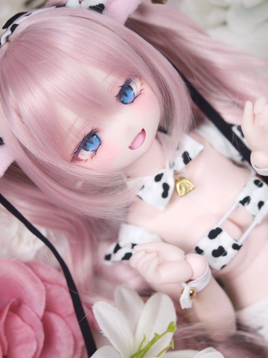 ぐる๑ tweet media