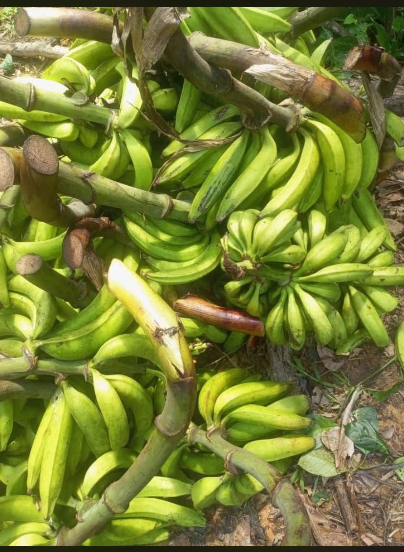 pouce girl 😌 tweet media