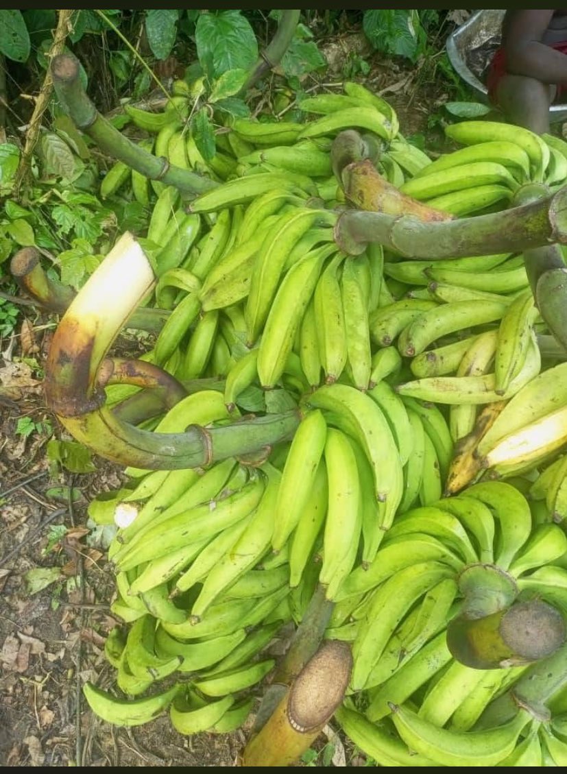 pouce girl 😌 tweet media