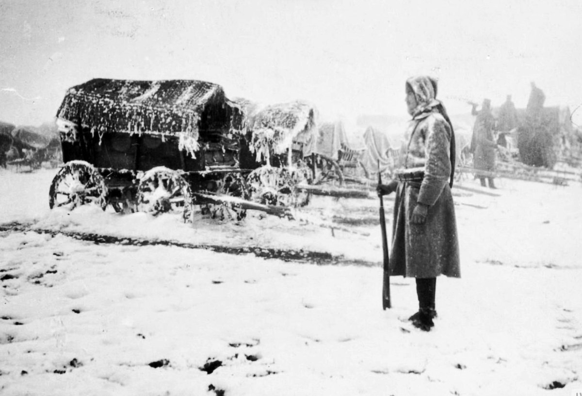 Tom Isitt 🐝 tweet media