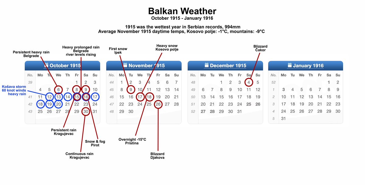 Tom Isitt 🐝 tweet media