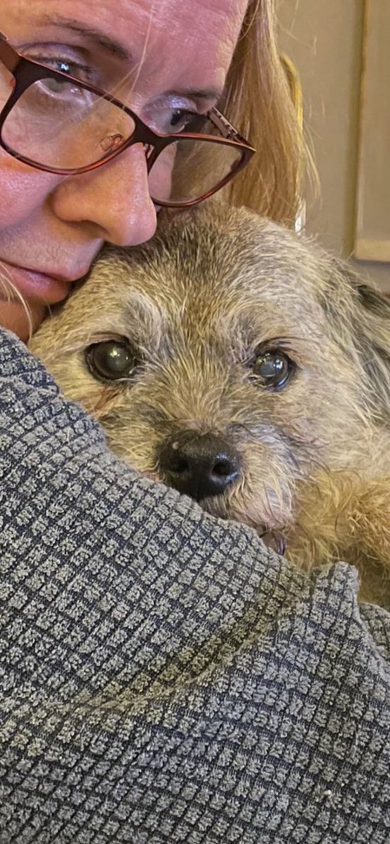 HeidiBT3 Lady caikey member of the house of woofs tweet media