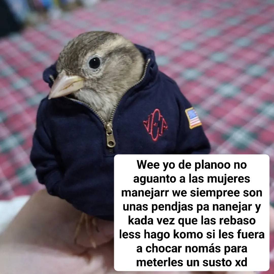 Vader Tercermundista tweet media