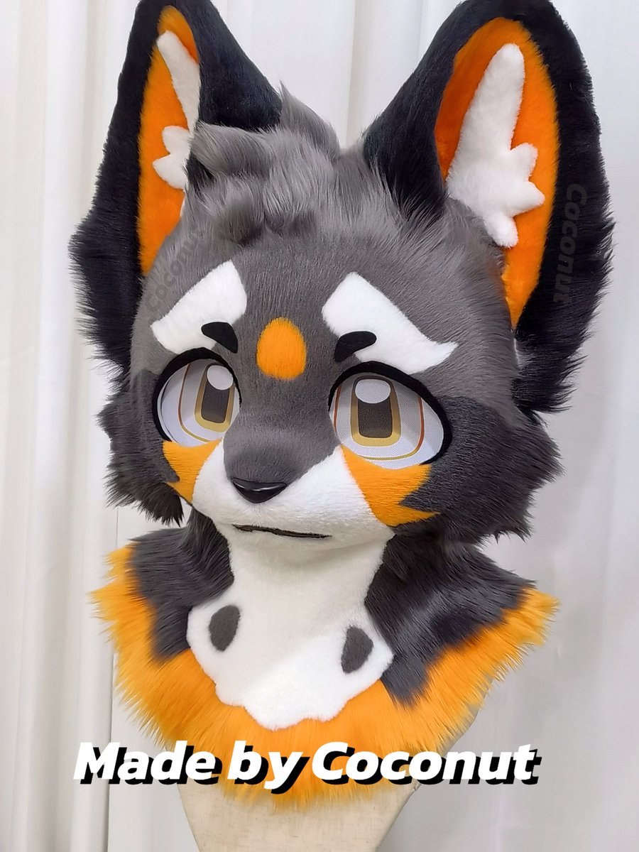 MtBOBO236992's tweet photo. 【consignment sales 】
🧡This puppy is for adoption！🖤

$ 9️⃣5️⃣0️⃣+shipping fee
（Tariffs in the US are within $30）
-A Head with a fan
-Can be worn with glasses 
-Head circumference is within 64cm
-Full character usage rights with a ref

-Adding $90 can get paws/tail
-Some gifts～

Artist: Coconut (PeptoFursuit)

If interested, please DM me~🤍

#fursuitmaker #fursuitforsale #furry #premadefursuit #kemono