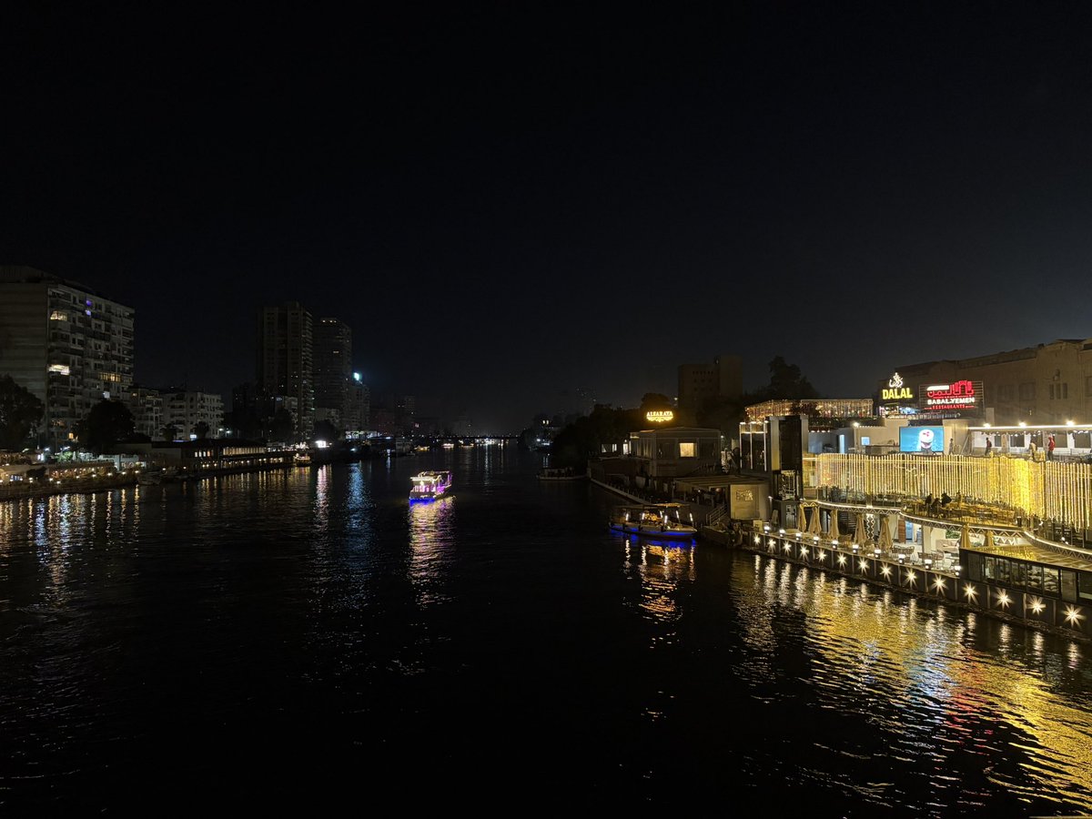 fiona🌷 tweet media