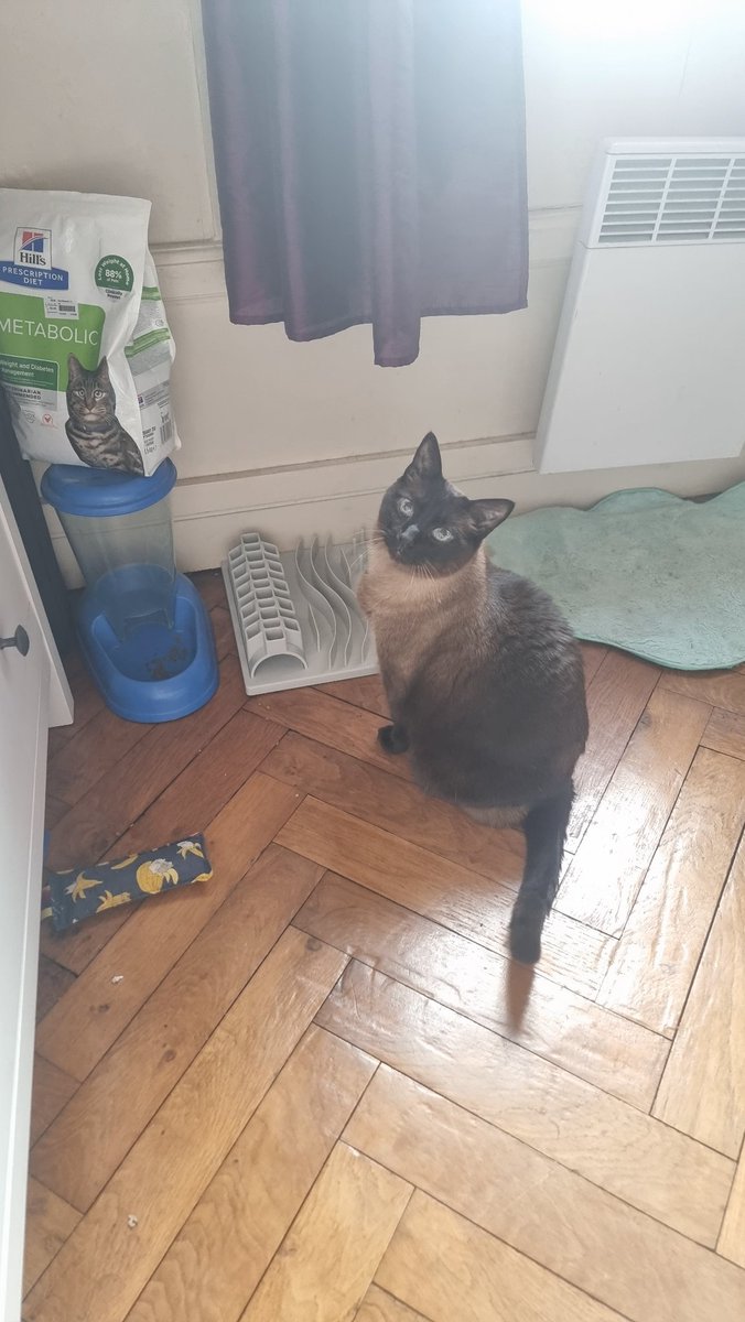 👑 🎀 Atem lo Ier - Tarzon 🧛‍♂️ & Pégasou dé Z'🌟 tweet media