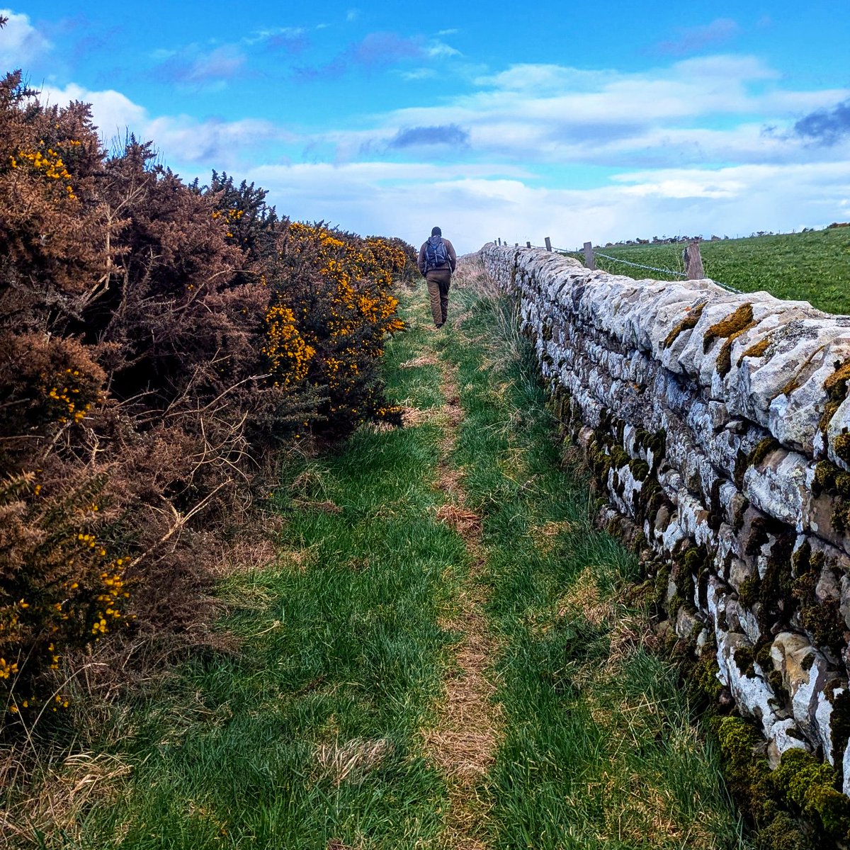 EXPEDITION FOODS® tweet media