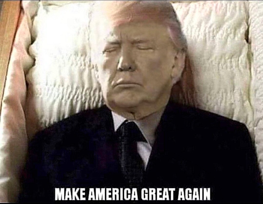 ⚘️Carina tweet media