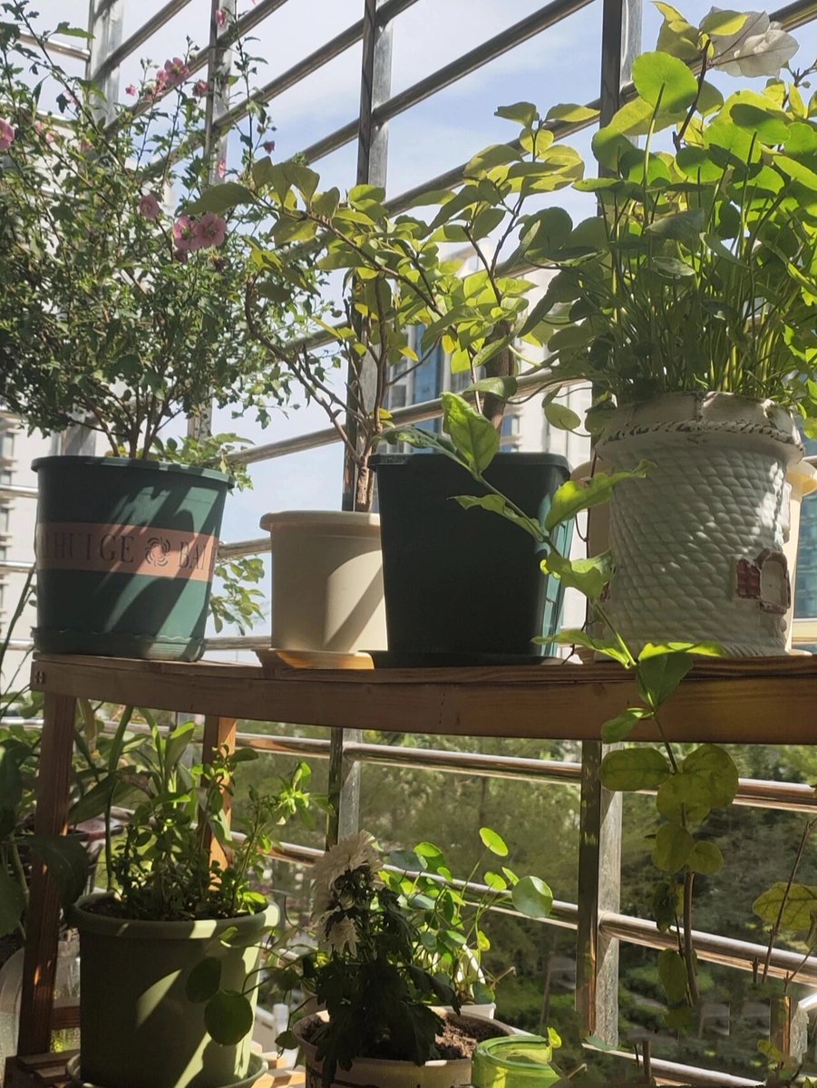 Roland Gonder tweet media