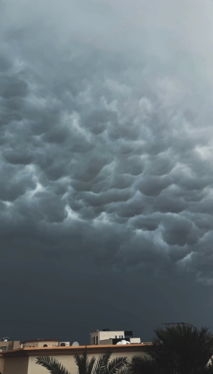 Moammer Jaber tweet media