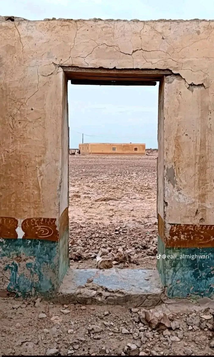 وليد المصري tweet media