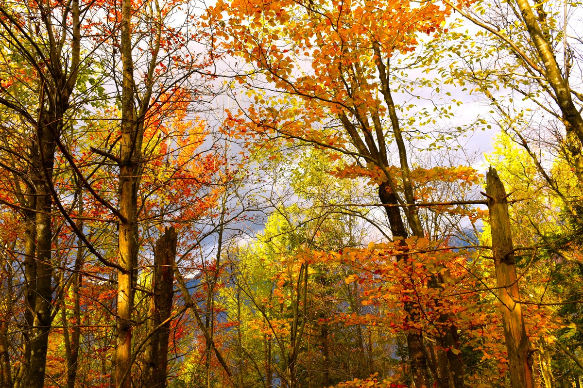 Erasmo Velasquez tweet media