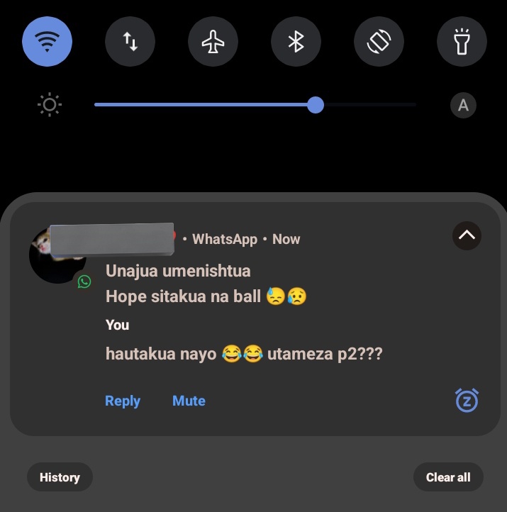 Grizzly 🍁🗽 tweet media