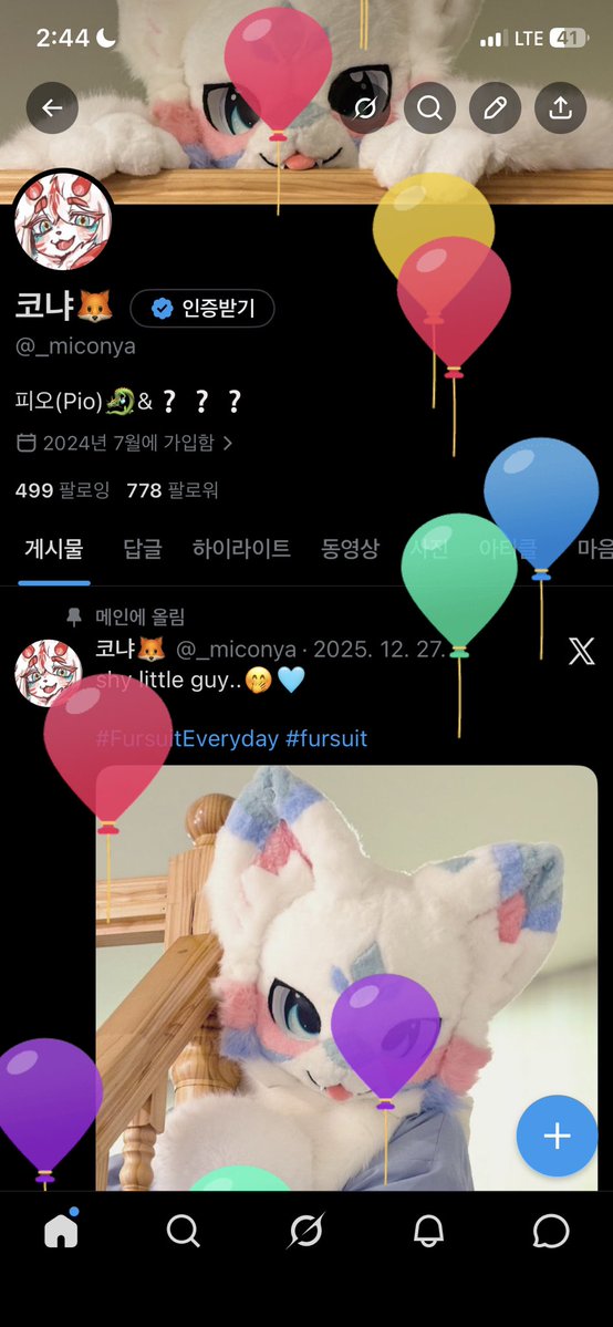 코냐🦊 tweet media